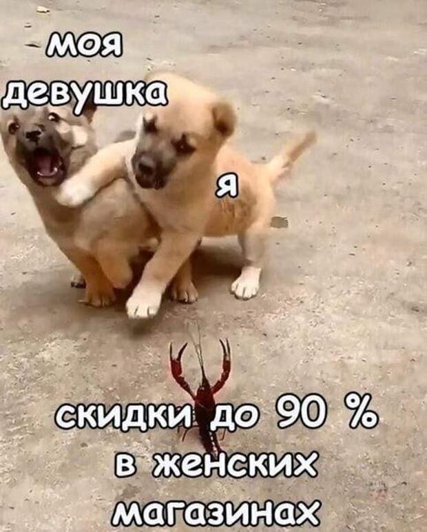 d1d9670c4f68e541373535ceedd11ab336c71558b3f972e0b1b837ab8d95548a-1.jpg