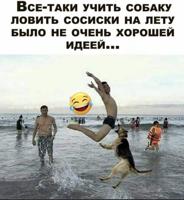 За 11 лет учебы в школе я не узнал ничего об ипотеке, уплате счетов и налогов. Зато я знаю строение инфузории туфельки