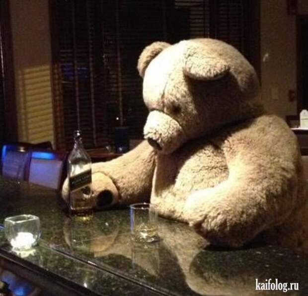 Приколы (55 фото)