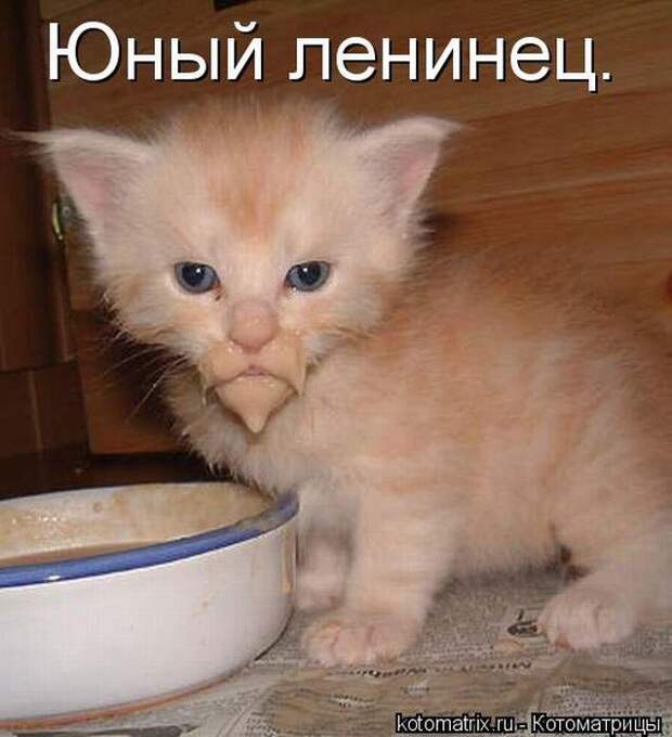 Мысли вслух :)