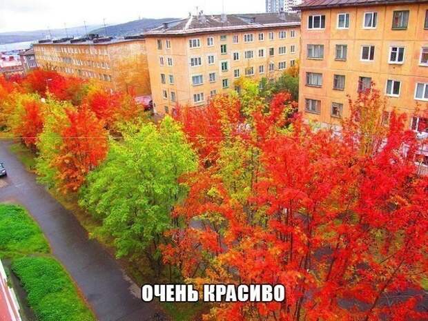 Смешные картинки с надписями прикол, юмор