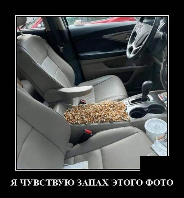 Демотиватор про запах