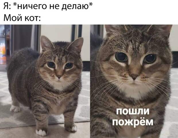 www.vsyako.net