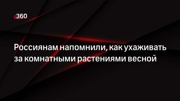 Россиянам напомнили, как ухаживать за комнатными растениями весной