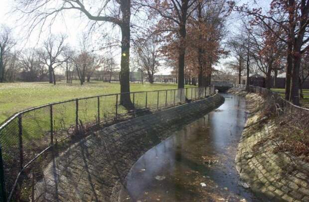 The teen began running away with the woman’s purse through Springfield Park, only to be chased by a stray pit bull and German shepherd, officials said.