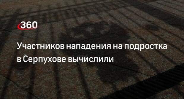 Прокуратура Подмосковья проверит избиение подростка в ТЦ в Серпухове