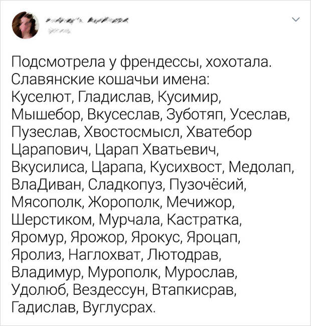 Пользователи сети обсудили звучные имена своих питомцев (Подзывая к кормушке Полундру и Вермишель, трудно не улыбнуться)