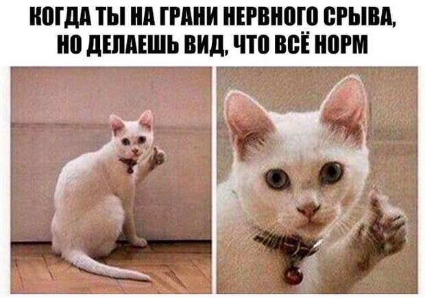 Паранормальных пикч