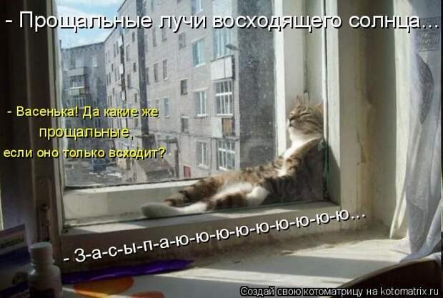 Котоматрицы великолепные, каждая с кусочком позитива и хорошего настроения!!!