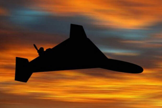 Военкор рассказал об ударе по французам в Житомирской области