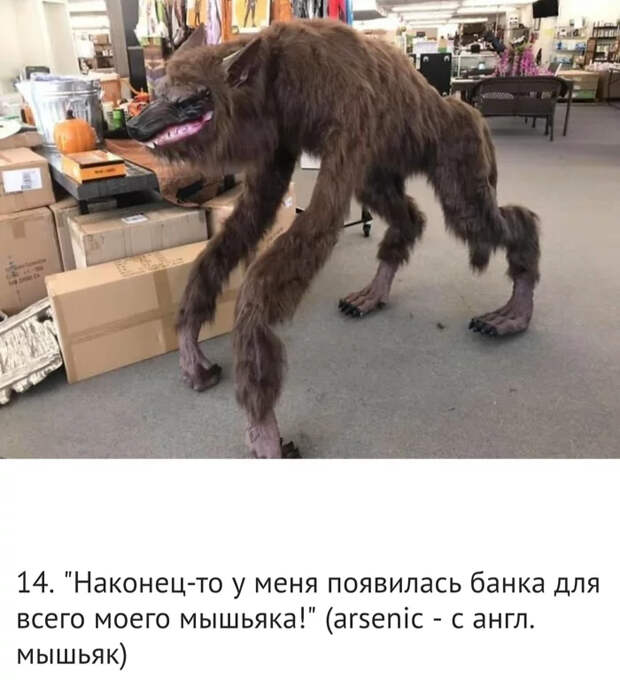Сумасшедшие находки на блошином рынке Барахолка, Блошинка, Рынок, Раритет, Вещи, Интересное, Странные вещи, Находка, Длиннопост