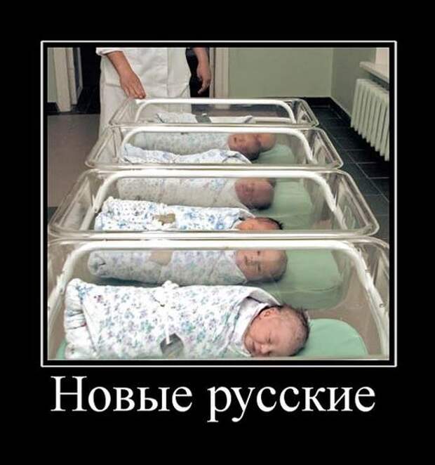Демотиваторы (30 фото)
