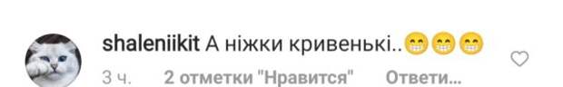 Комментарии под снимком Дорофеевой