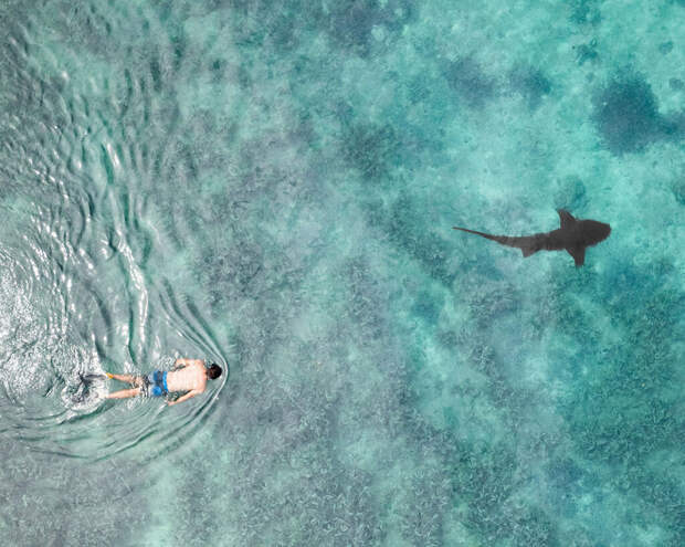 Двойное признание Waldorf Astoria Seychelles Platte Island от Forbes Travel Guide