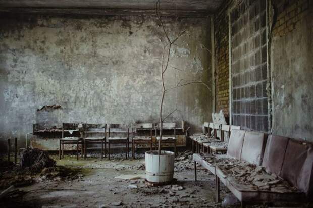 Что влечет сталкеров в зону отчуждения? Фотоблог о жизни вокруг Чернобыля Чернобыль, история, факты