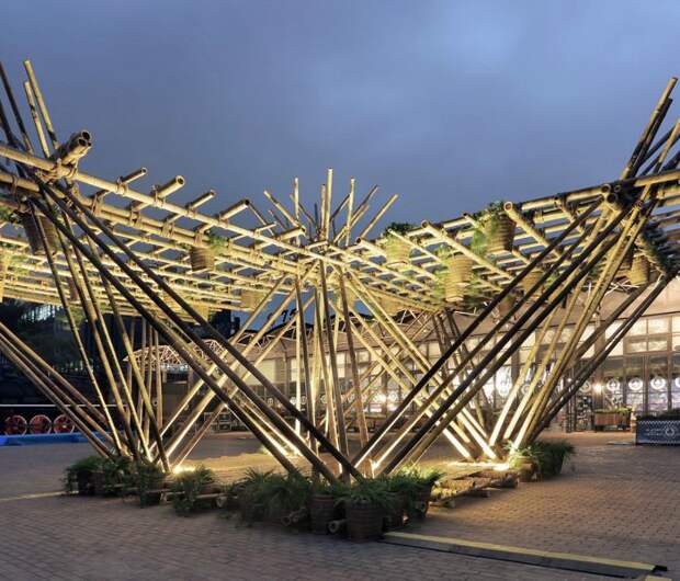 Bamboo1