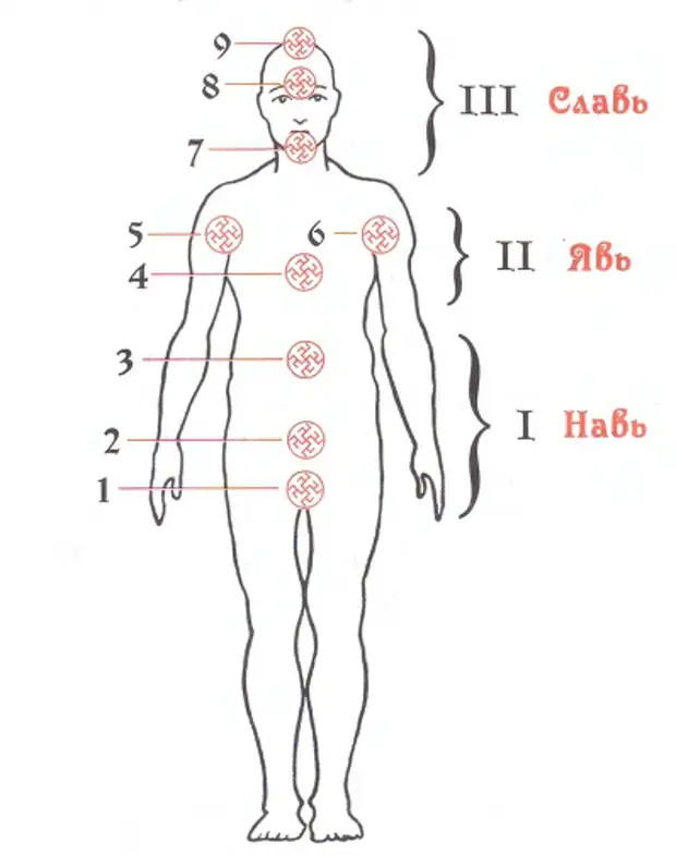 Точка хара. Славяно-Арийская система чакр. 9 Чакровая система славян. Славяно-арийский духовно-энергетический крест. Славянская энергетическая система.