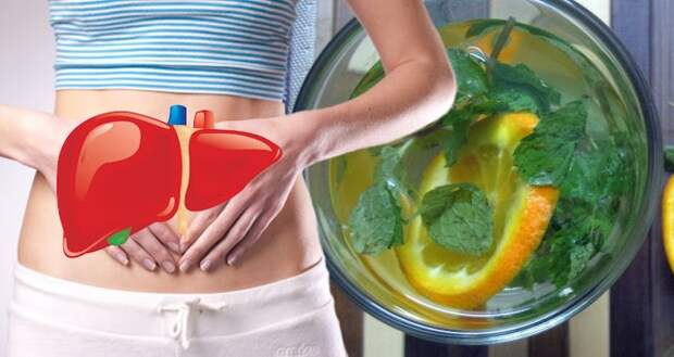 liver-health-1