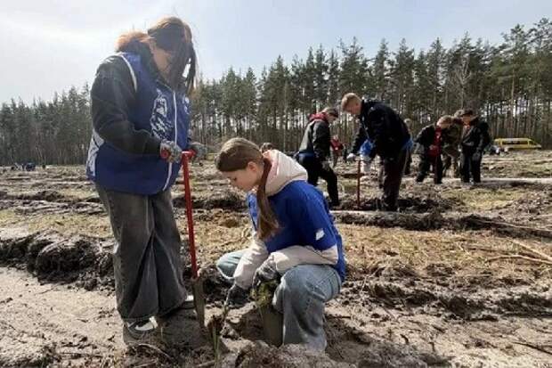 Волонтеры города Котовска присоединились к международной акции "Сад памяти"