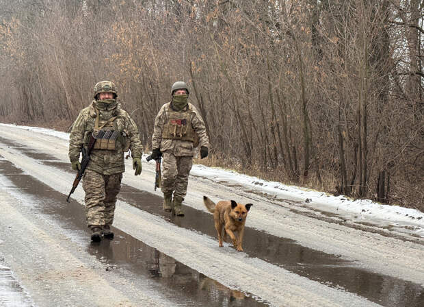 Зеленский высказался о выводе войск из Донбасса