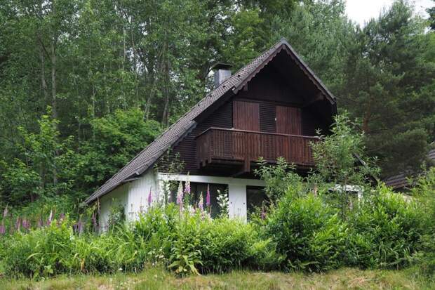 Забор из евроштакетника: для какого участка подойдет идеально