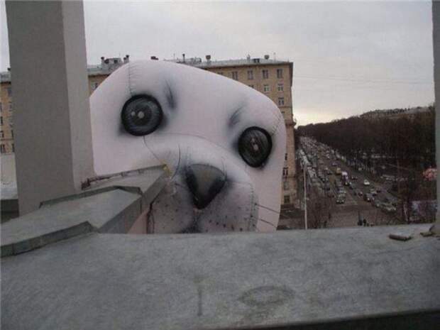 Прикольные картинки