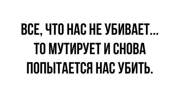 3. Ничего, повоюем еще!