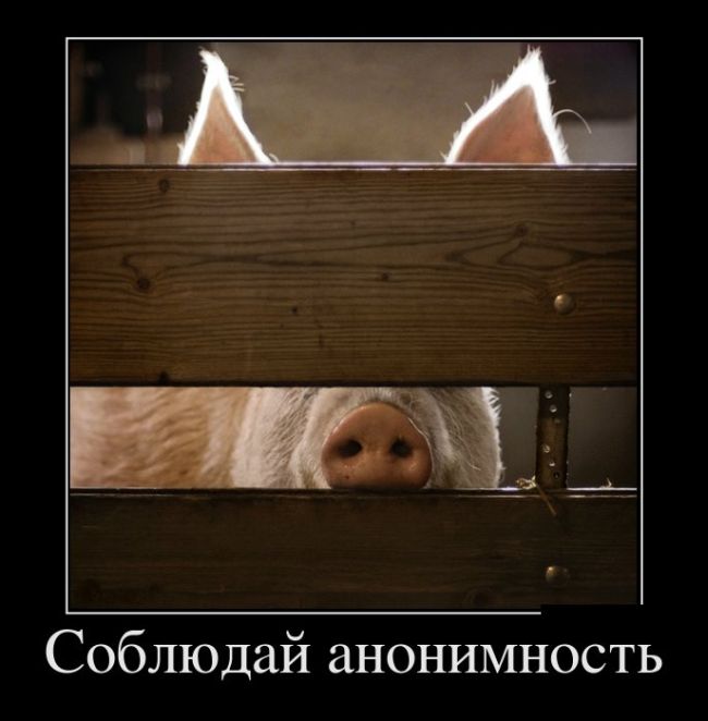 Лучшие демотиваторы дня. Часть 367. Лучшие демотиваторы дня. Часть 367.