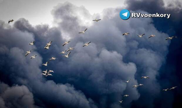 Армия России не наносила удара по ТЦ в Харькове, — Минобороны (ВИДЕО)