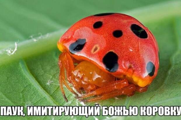 Свежие картинки с надписями для настроения (10 фото) Свежие картинки с надписями для настроения (10 фото)