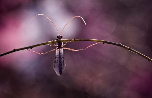 Тренируюсь перед уроком. Автор фотографии: Fabien BRAVIN.