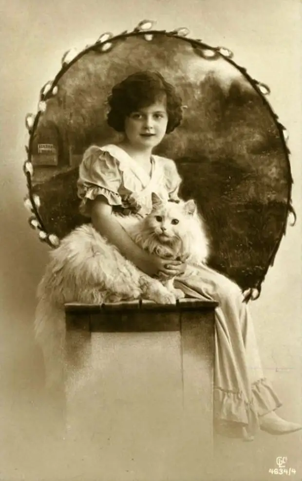 :   ,  ,        27 - BigPicture.ru