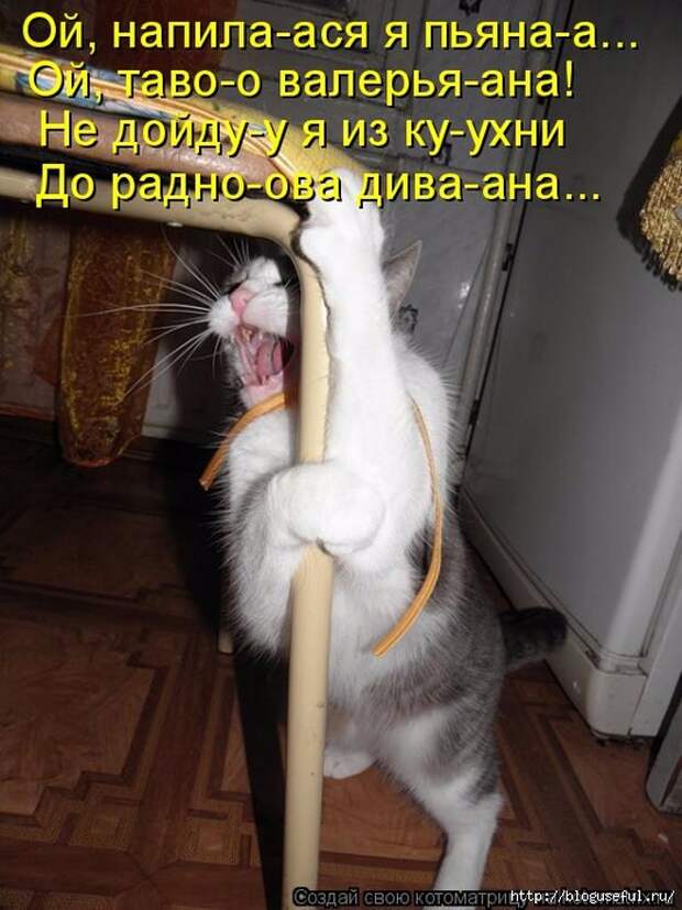 5 (524x700, 264Kb)