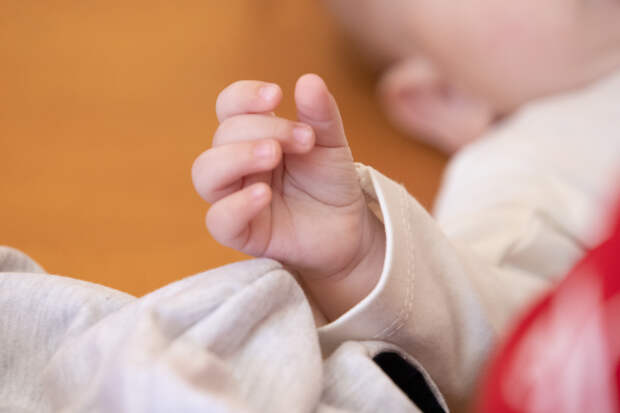 В Тульском областном перинатальном центре родилась первая королевская двойня 2026 года