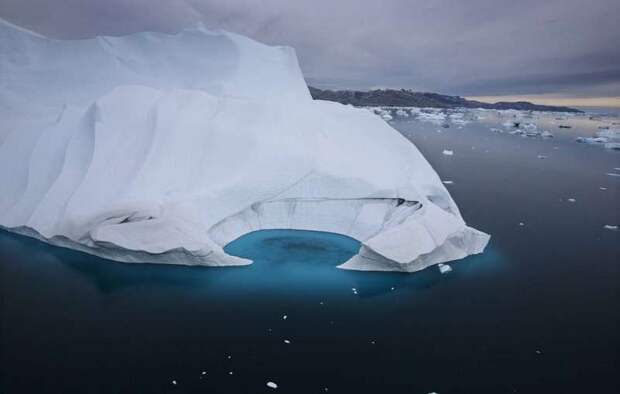Таяние льдов Арктики ускорило распространение смертельно опасной 