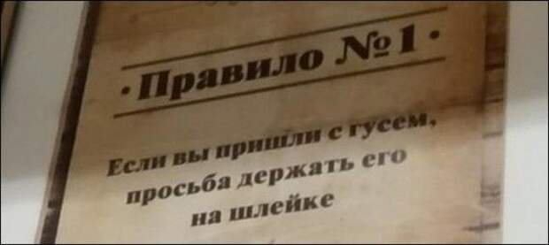 1583067497_nadpisi-29022020-010.jpg