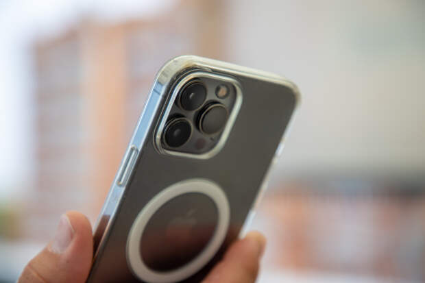 Отсутствие крематория в городе-миллионнике и ожирение у воробьев: дайджест главных, значимых и резонансных региональных событий