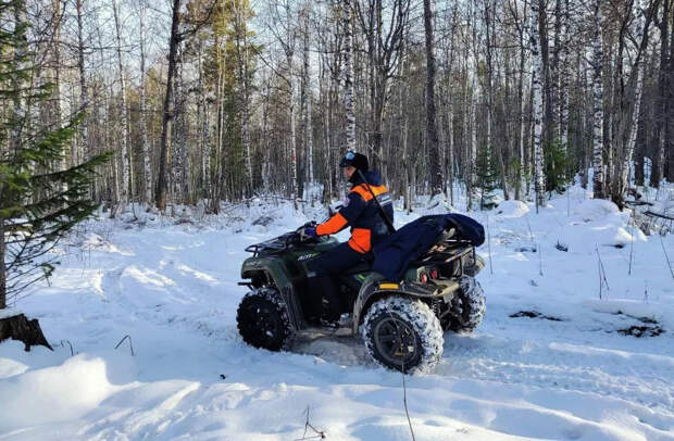 В СК опровергли слухи о найденной семье Усольцевых