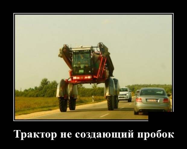 Демотиваторы (30 фото)