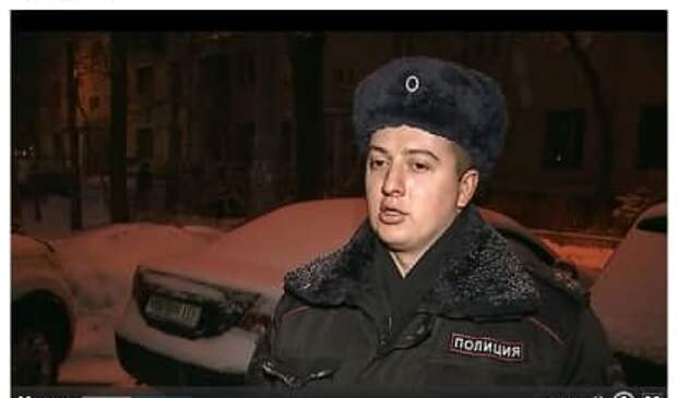 Сотрудник полиции из Хорошёво-Мнёвников помог вернуть хозяевам кошку