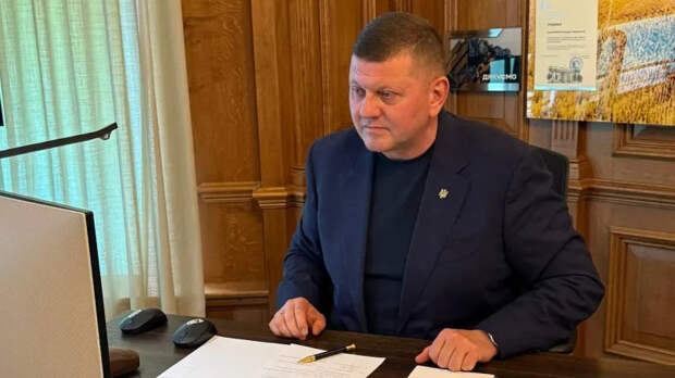 Залужный раскритиковал Зеленского и пригрозил властям Украины «очищением войной»