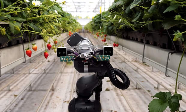 Источник фото: YouTube/@Techful Gadgets/Скриншот