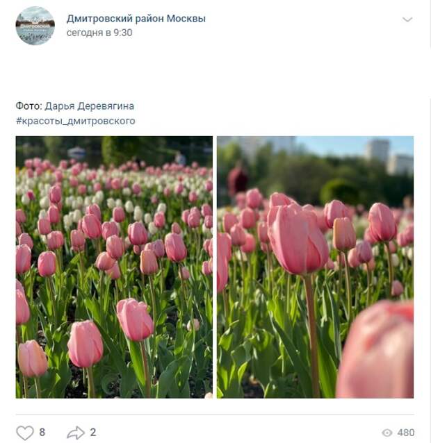 Фото дня: живописные «Ангарские пруды»