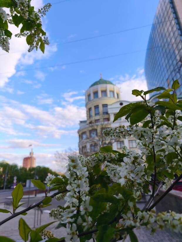 #Апрель_2026_Донецк https://t.me/webmoney_dn/321040