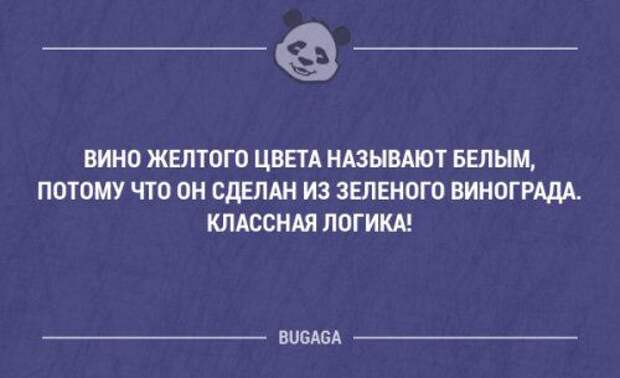 Классная подборка прикольных анекдотов