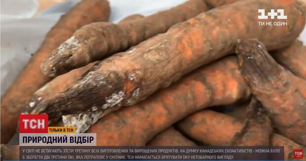 Лайфхак от ТСН украинцам: как сэкономить на еде