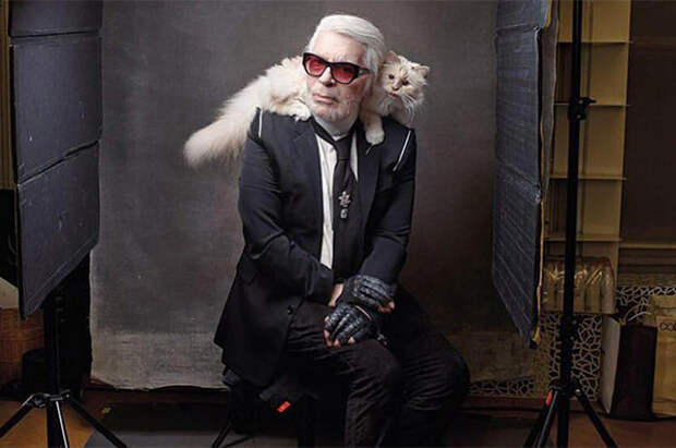 Шупетт осиротела: пользователи сети соболезнуют любимой кошке Карла Лагерфельда