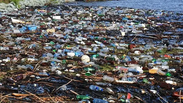 В Подмосковье планируют закрыть два мусорных полигона до конца года