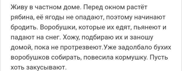 www.vsyako.net