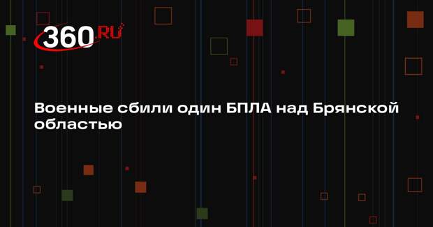 МО: в Брянской области ночью уничтожили один дрон ВСУ